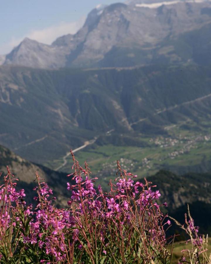 Hamilton Lodge & Spa Belalp Εξωτερικό φωτογραφία